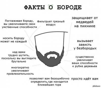 Борода Фото Прикольное Борода Фото Прикольное