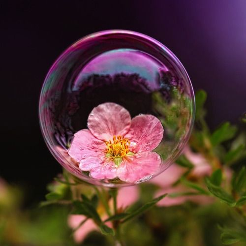11 Oh, I Love Bubbles ✨ ideas | bubbles, soap bubbles, the 【同梱不可】 bubble様専用 Soap 化粧水/ローション