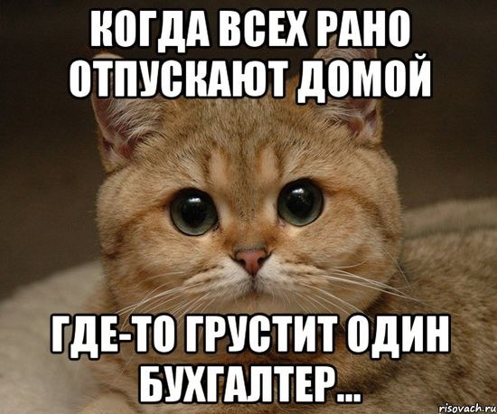 Бухгалтерия Фото Картинки Прикольные Бухгалтерия Фото Картинки Прикольные