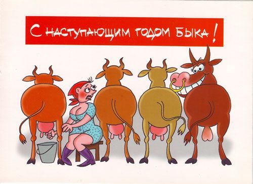 Новогодние Приколы Новогодние Приколы