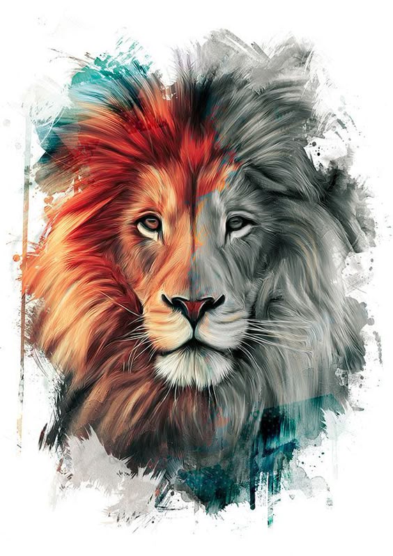 lion