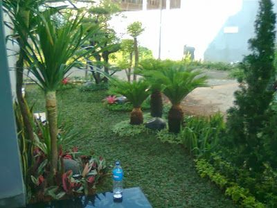 Jasa Professional Pembuatan Taman Rumah, Perumahan, maupun kantor seperti: Taman Minimalis Taman Kering Taman Mediterania Taman Bali Taman Jepang Taman Relief Taman Gasebo Vertical Garden Kolam Minimalis Kolam Taman Kolam Water Wall Kolam Koi Interior Paint Carport Batu sikat dan artistik sejenis lainnya. Kami juga Menerima Renovasi dan Jasa Perawatan Taman.