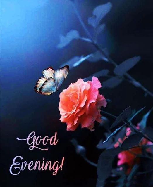 Good Evening Images For Whatsapp