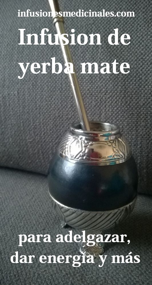 Beneficios del mate bajar de peso Beneficios del mate bajar de peso