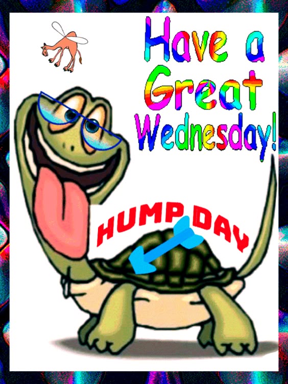happy-wednesday