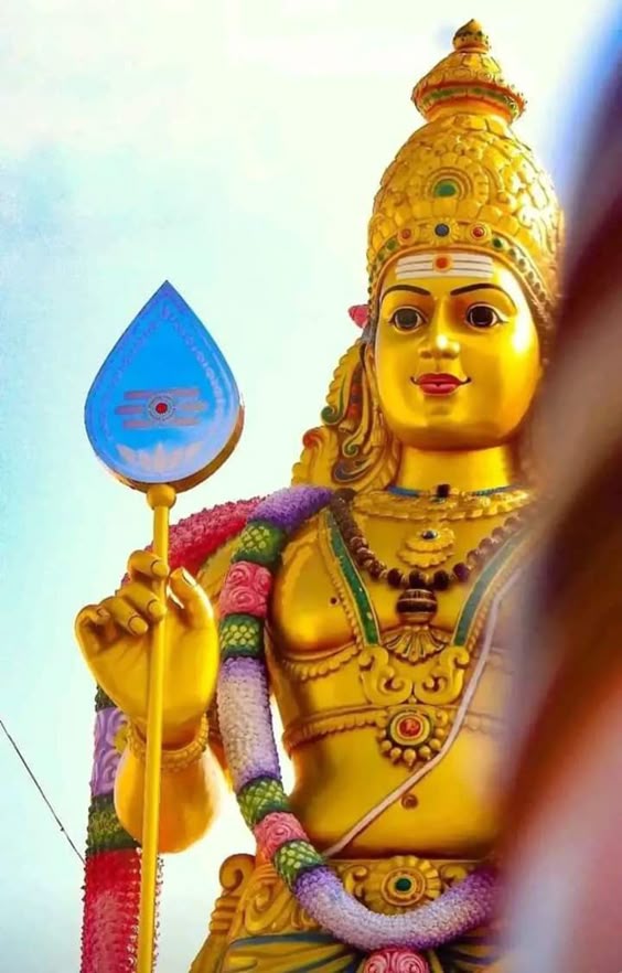 janavar-photo-3d