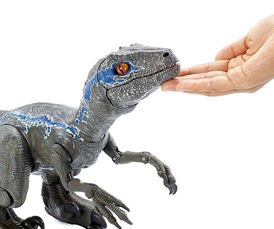 Jurassic World Toys Alpha Training Blue Velociraptor, You Can Train Your  Own Raptor With Handheld R…