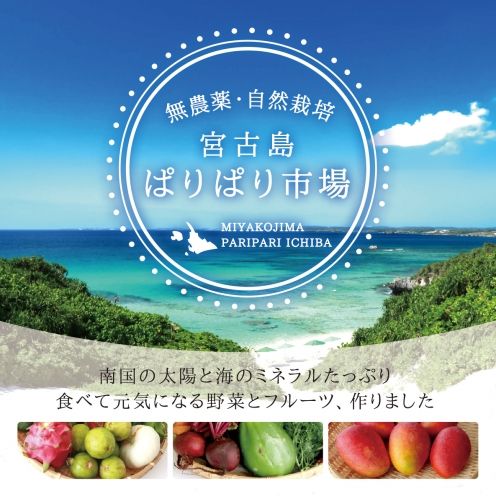 宮古島ぱりぱり市場 情報一覧 沖縄で定番 おすすめの観光スポット 沖縄観光情報webサイト おきなわ物語 沖縄 ビーチアクティビティ 観光 宮古島ぱりぱり市場 情報一覧 沖縄で定番 おすすめの観光スポット 沖縄観光情報webサイト おきなわ物語 沖縄 ビーチアクティビティ 観光