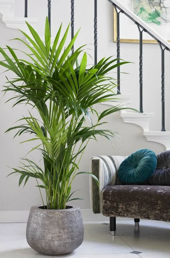 33+ Beauty Indoor Plants Decor Ideas For Your Home And Apartment #apartmenttherapy #apartmentliving #apartmentdecor