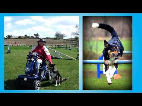 Ability For Agility Handling 360 Susan Garrett S Training