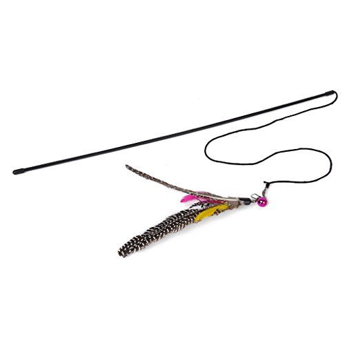Kitten Cat Teaser Interactive Toy Dangler Rod with Bell a... https://www.amazon.co.uk/dp/B00S4HRZJK/ref=cm_sw_r_pi_dp_Np0txbGSPVG85