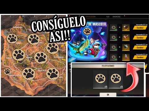 Cómo Conseguir Token De Huella De Perro En Free Fire Como Reclamar Las Mascotas En Free Fire Youtube In 2020 Free Fire The Creator