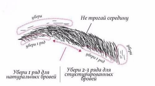Брови Схема Фото Брови Схема Фото