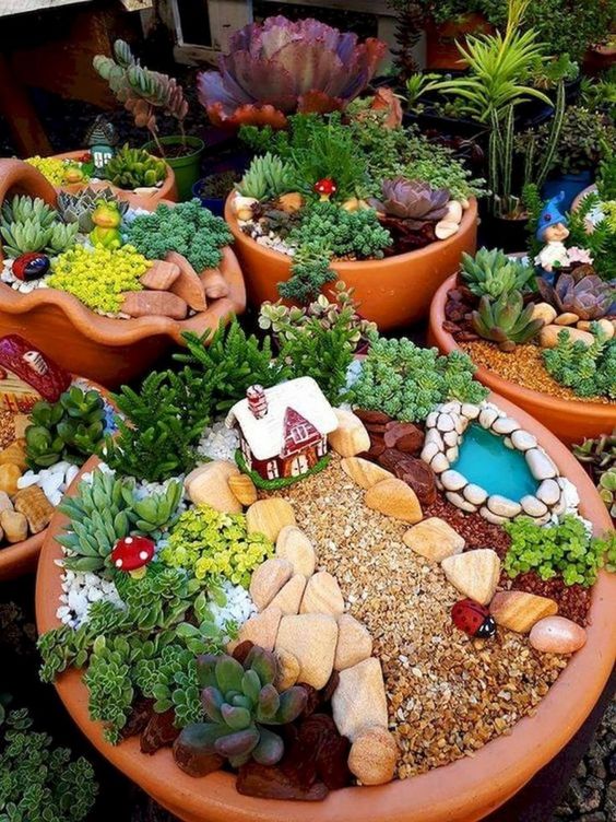 planters with succulent for a fairy tale design #gardenIdeas #garden #gardening #plants #homeDecor #indoor