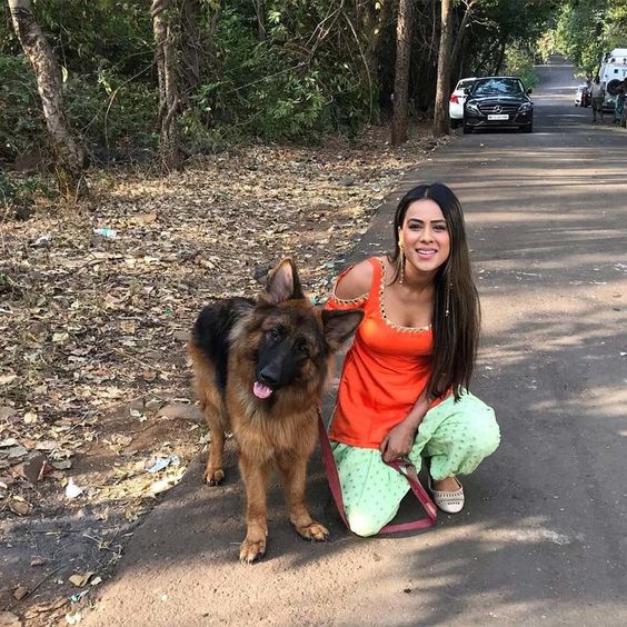 Nia Sharma Attacked By Dogs During Ishq Mein Marjawan Shoot | SpotboyE