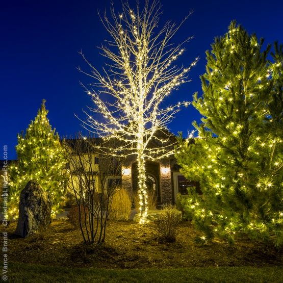 Led Mini Lights Etc Outdoor Tree Lighting Indoor - Led Outdoor Lighting For Trees Led Mini Lights Etc Outdoor Tree Lighting Indoor - Led Outdoor Lighting For Trees