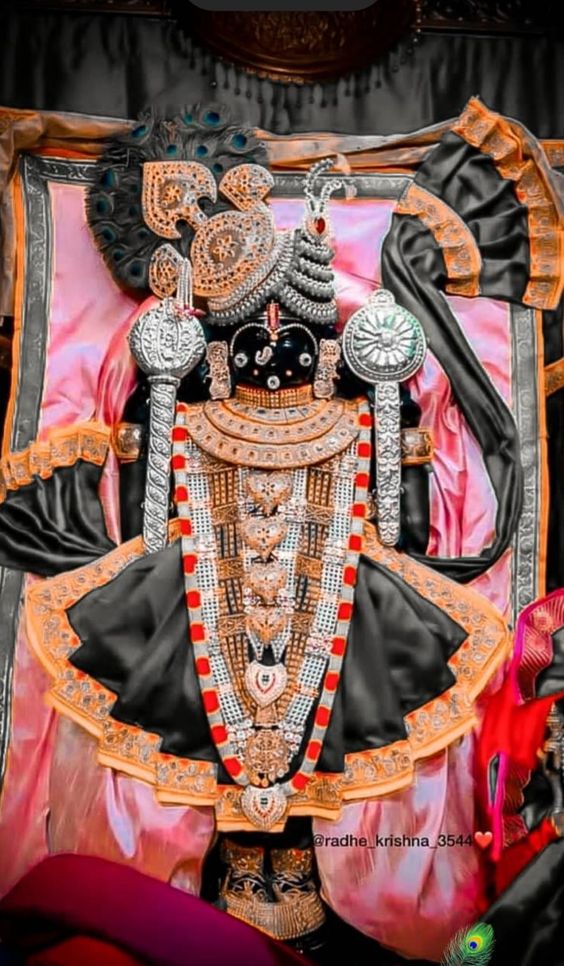 janavar-photo-3d
