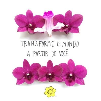 Voe alto pequena menina, grande princesa