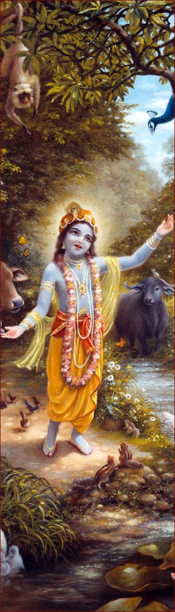 Lord Krishna More