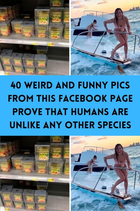 40 Weird And Funny Pics From This Facebook Page Prove That Humans Are Unlike Any Other Species