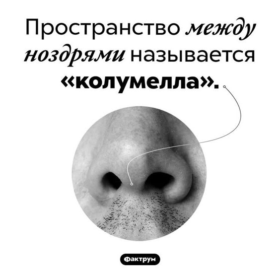 факти-бг