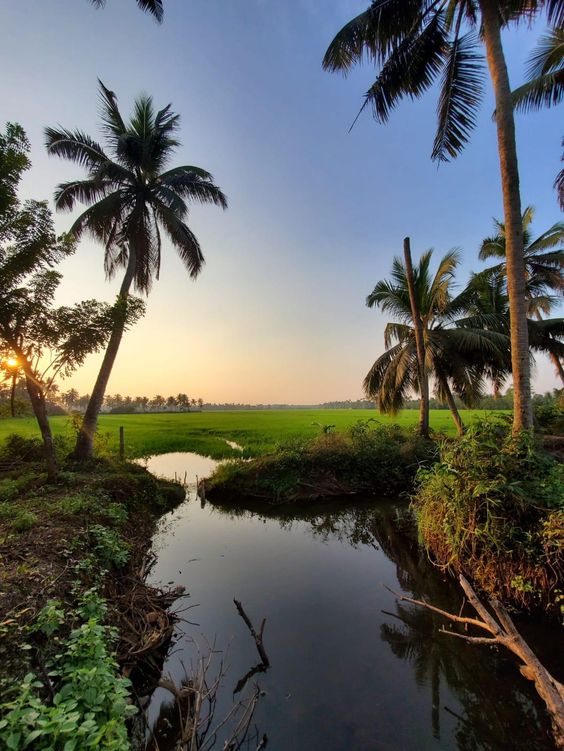 #BEAUTY OF EARTH #SERENITY