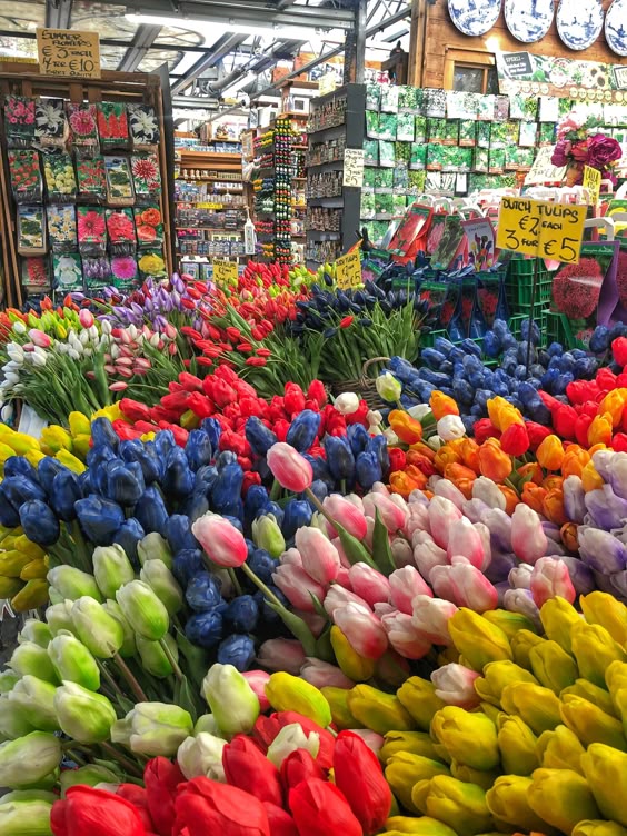 Flower-Market-Tulips-Amsterdam-800x1067 Eats Travel