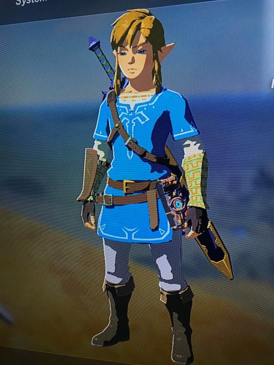 Does Anyone Else Play Wearing Just The Champion S Tunic Like If It Were A Traditional Zelda With Minimal Breath Of The Wild Legend Of Zelda Memes Link Costume