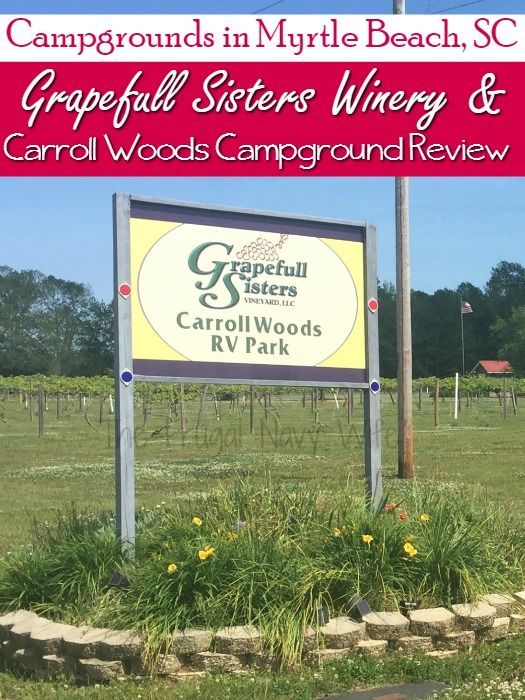 Campground Review Lazydays Rv Resort And Campground In Tampa Florida Lazydays Rv Resort Florida Camping Rv Parks And Campgrounds