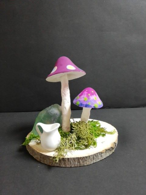 セレブの気品がある蜘蛛 オオシロカネグモ 画像あり 蜘蛛 目