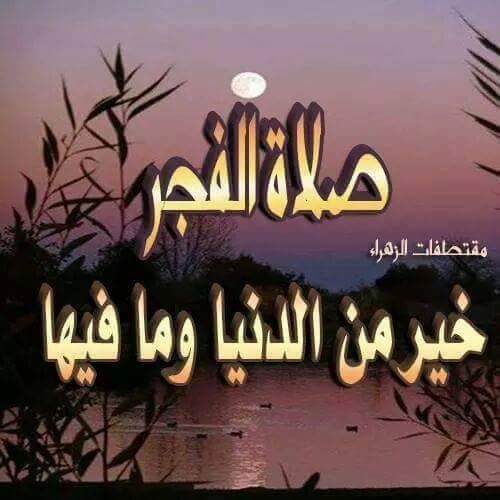 المسلم من سلم المسلمون من لسانه و يده و المهاجر من هجر ما نهى الله عنه حديث شريف صحيح البخاري In 2020 Instagram Photo Instagram Photo