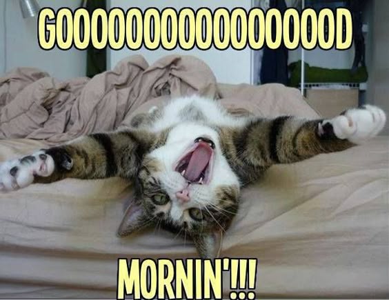 Good morning Japan.