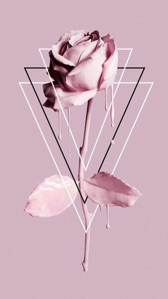 photo De Pantalla Iphone Fondos Aesthetic Negro Y Rosa fondo aesthetic aesthetic fondo