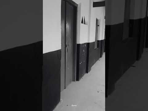 Memmorys Not Die💕 School life whatsapp status 😍 #status #school #childhood - YouTube
