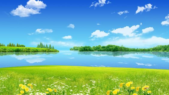 hd-wallpapers-1080p-download-for-pc
