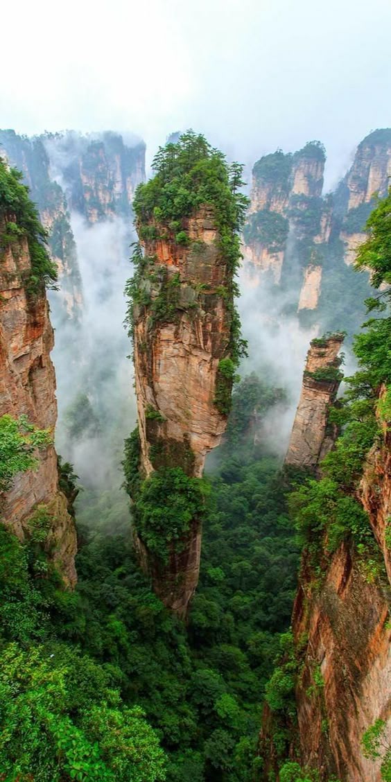 🔥 Tianzi Mountains 🔥 - NatureIsFuckingLit