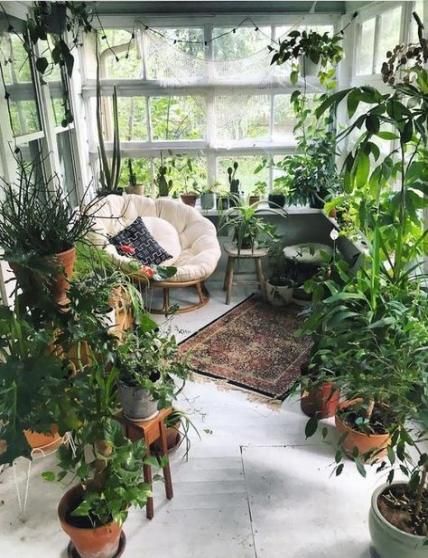 porch decorated with indoor plants #gardenIdeas #garden #gardening #plants #homeDecor #indoor