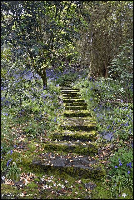 waterford gardens