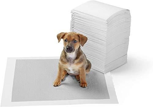 Ultra Saugfähige Hygieneunterlagen für Haustiere Leicht zu Tragen ACE2ACE Trainingspads für Hunde Welpen Verdickung Unverzichtbar für Reisen und im Auto 10 Stück mit Tragbarer Tasche Ultra Saugfähige Hygieneunterlagen für Haustiere Leicht zu Tragen ACE2ACE Trainingspads für Hunde Welpen Verdickung Unverzichtbar für Reisen und im Auto 10 Stück mit Tragbarer Tasche