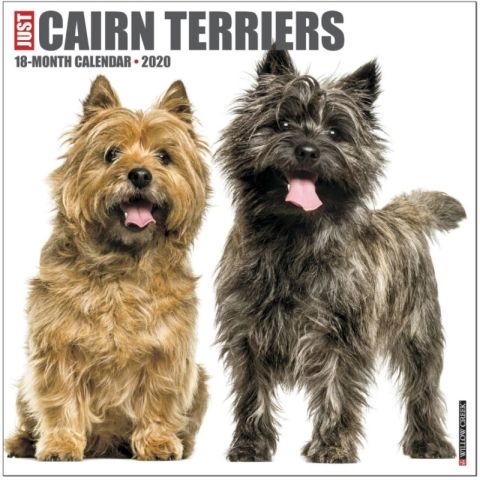 Just Cairn Terriers 2020 Calendar In The Classic Film The Wizard