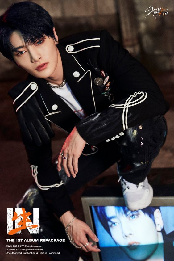 Idol Kpop Suara Dolphin I.N
