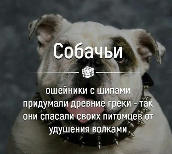 факти-бг