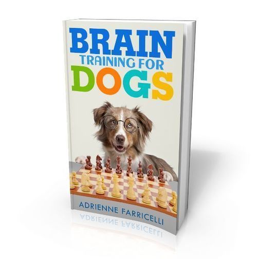 Brain Training For Dogs Adrienne Farricelli Pdf Download Dog