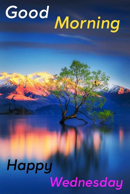 Happy Wednesday Good Morning Images || Good Morning Happy Wednesday Images || Whatsapp Wednesday Good Morning Images || Good Morning Wednesday Images