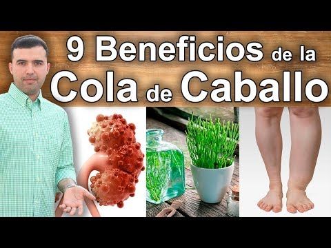 Para Que Sirve La Cola De Caballo 9 Propiedades Y Beneficios Para La Salud Youtube Hierba Cola De Caballo Cola De Caballo Planta Alimentos Para Adelgazar