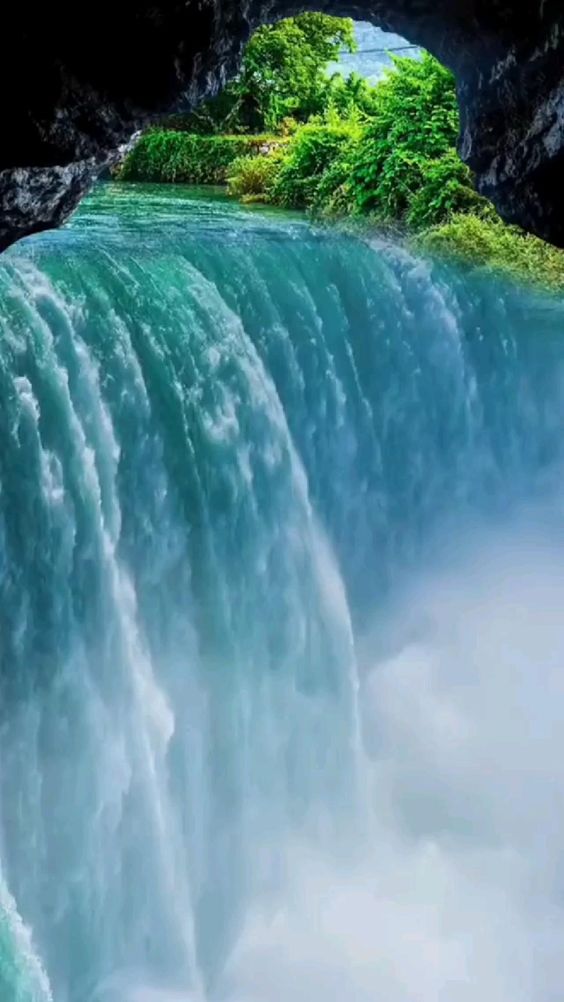 Feel the nature Beauty and background music 🎶🎶🤠