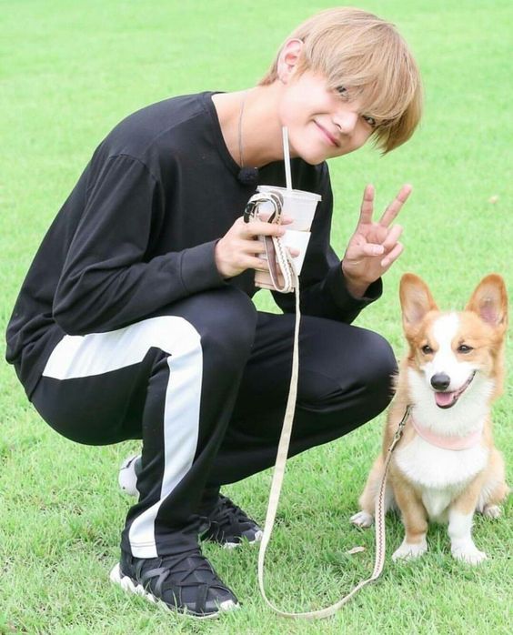 Tentang Jeon Jungkook yang selalu mengejar cinta kakak kelasnya yang ⦠#fanfiction #Fanfiction #amreading #books #wattpad