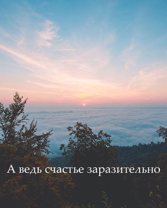 Цитаты красивые красивые цитаты про