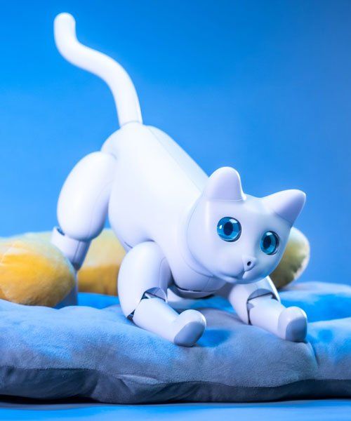 The Marscat Home Bot Is The World S First Bionic Robotic Cat In 2021 Robot Cat Cats Robot