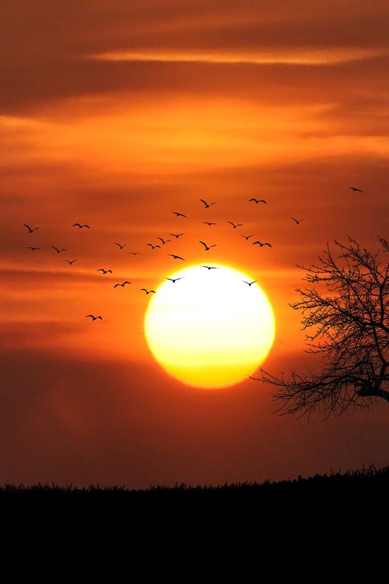 countryside, dramatic, evening